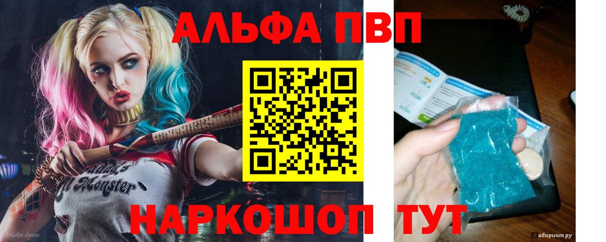 Альфа ПВП СК Белово